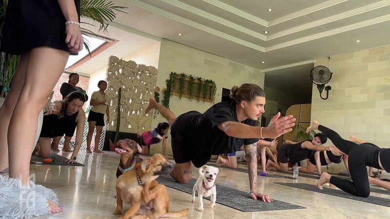Tim genießt heute eine Yoga-Session mit süßen Hunden, die ihm wirklich viele Endorphine beschert. – Bild: RTLZWEI