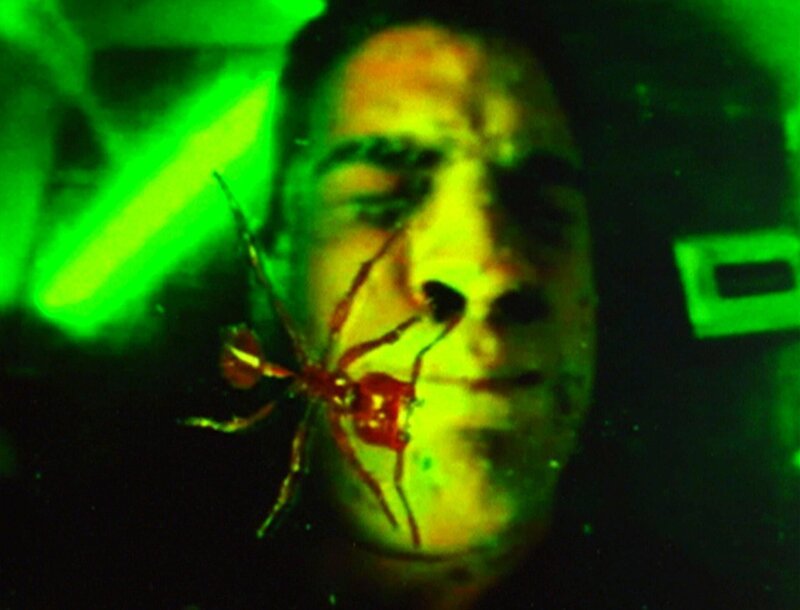 Grausam: Der Plexiglas-Sarg bekommt Risse, und Nick (George Eads) wird von Feuerameisen befallen. – Bild: RTL