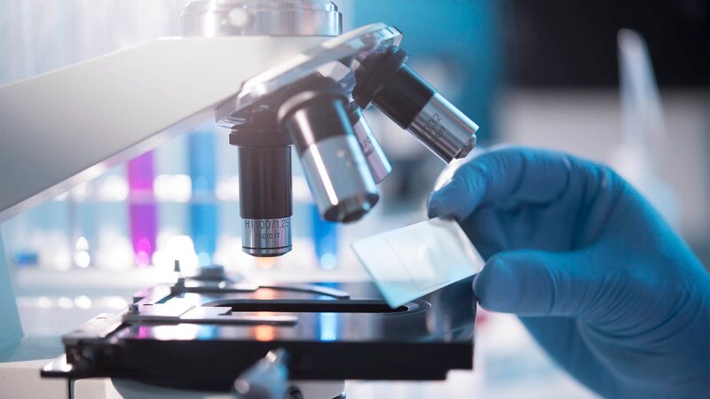 A scientist placing a slide under a microscope – Bild: nicolas_ /​ Getty Images /​ E+ /​ nicolas_