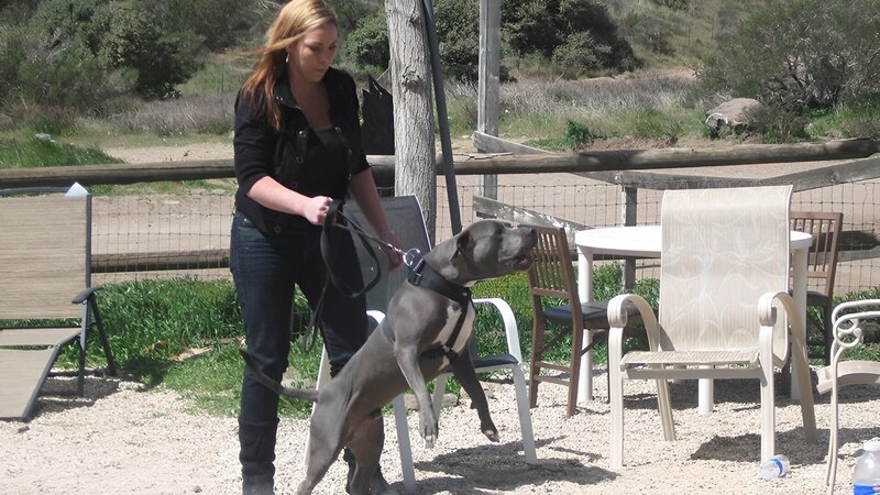 Gwato lunges at Tia. – Bild: Discovery Communications Inc Gwato lunges at Tia. – Bild: Discovery Communications Inc