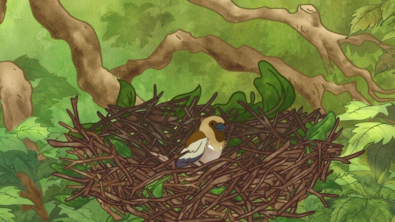 Und schon gibt es einen kleinen Interessenten für das Nest im Baum. – Bild: KiKA/​SLR Productions Australia Pty.Ltd./​Scrawl Studios Pte Ltd./​hr/​ARD