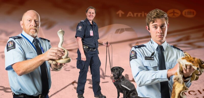 (10. Staffel) – Bild: Getty Images/​iStockphoto