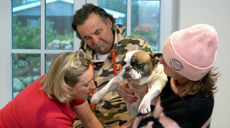 Die Sylter Silke und Olaf Jaschinski sorgen sich um ihr Bulldogge Trude – sie hat einen Knubbel am Gesäuge. – Bild: NDR/​Doclights GmbH 2019