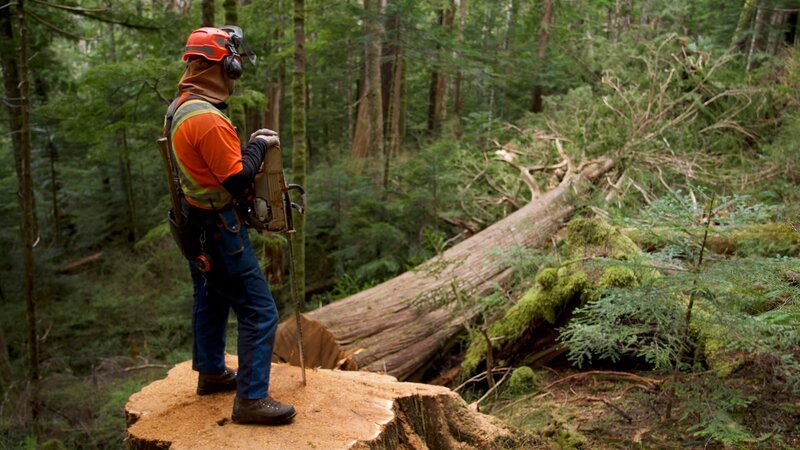 Faller Rob Winger admires his handiwork. – Bild: Warner Bros. Discovery, Inc. or its subsidiaries and affiliates