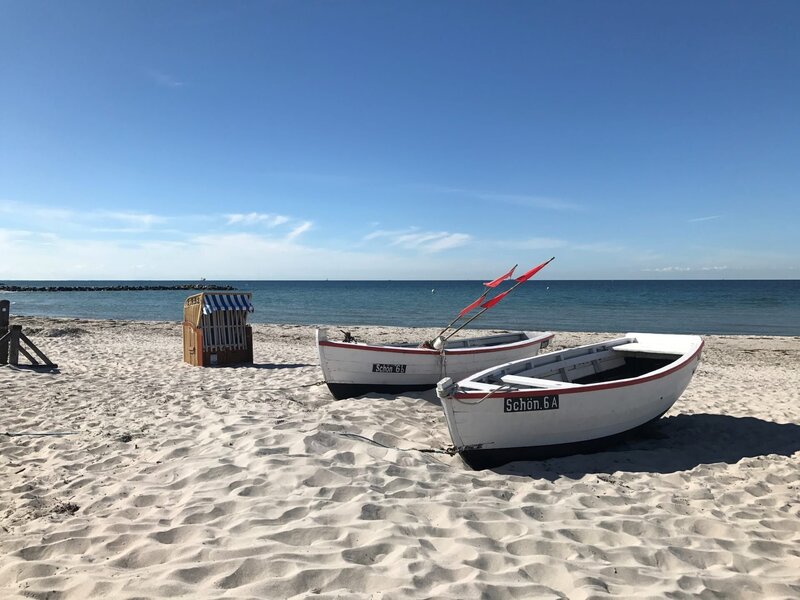 Scene from the documentary Einblick Der Kampf um den Fisch – Bild: SPIEGEL TV