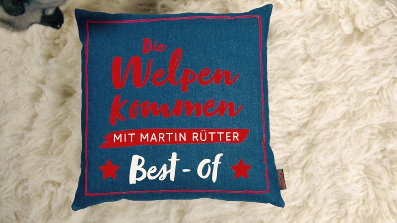 „Martin Rütter – Die Welpen kommen: Best of …“-Logo – Bild: RTL