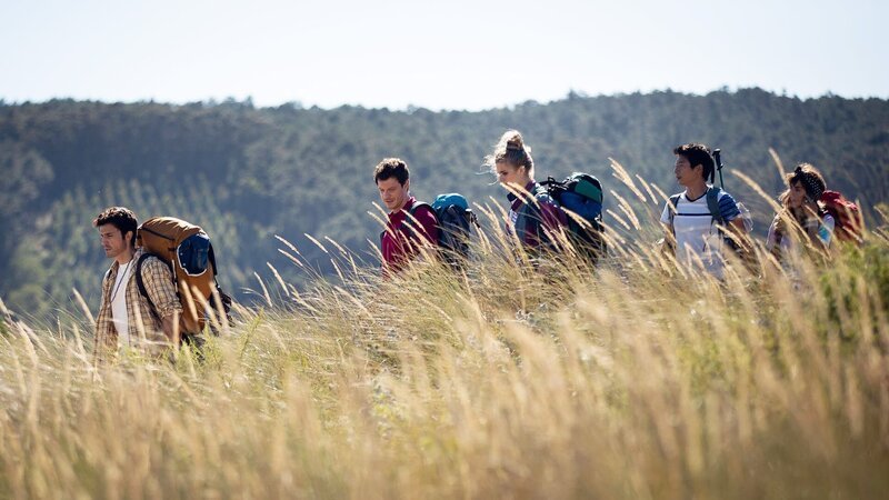 Roberto, Luca, Jana, Yun Soo und Raquel wandern gemeinsam auf dem Camino (von li nach re: Álex González, Andrea Bosca, Anna Schimrigk, Alberto Jo Lee, Verónica Echegui). – Bild: Tres Caminos