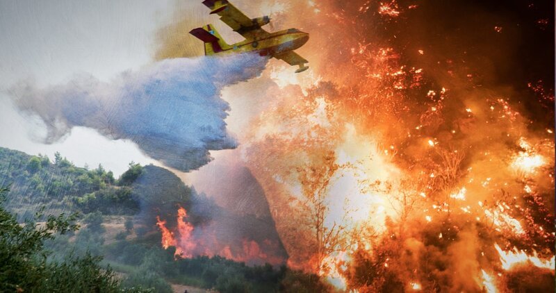 Die Taiga: das größte Waldgebiet der Erde und wertvoller Sauerstofflieferant. Ein Öko-System in Not: Erderwärmung und der Abbau von Rohstoffen zerstören riesige Flächen. – Bild: ZDF und Tobias Lenz Die Taiga: das größte Waldgebiet der Erde und wertvoller Sauerstofflieferant. Ein Öko-System in Not: Erderwärmung und der Abbau von Rohstoffen zerstören riesige Flächen. – Bild: ZDF und Tobias Lenz