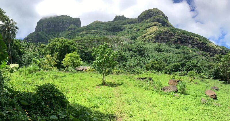 Landschaftsbild vom Tal der Könige auf Bora Bora. – Bild: Bewegte Zeiten Filmproduktion GmbH/​BR/​Deborah Stöckle