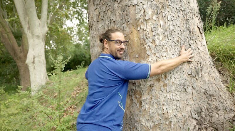 Amael David, einer der letzten Schleusenwärter am Canal, sorgt sich um die imposanten Platanen. Die Schattenspender sind von einem Pilz befallen. – Bild: NDR/​Julian Ringer