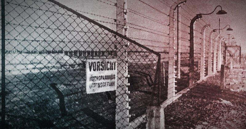 Am 22. Juni greift Hitlers Armee die Sowjetunion an. Im Schatten des Krieges begehen Deutsche Massenmorde an der jüdischen Bevölkerung. – Bild: ZDF und Tobias Lenz