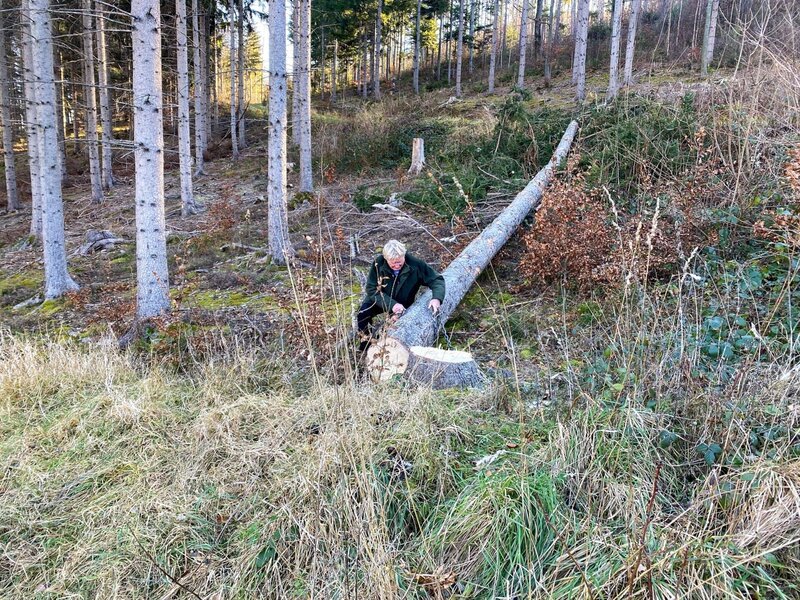 Förster Gerhard Prenner. – Bild: ORF/​Mabon Film