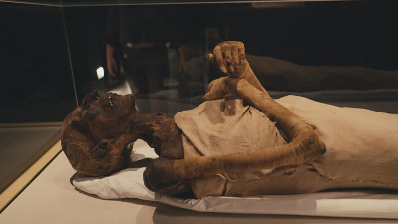 Mumie von Ramses II – Bild: RTL /​ PERNELMEDIA