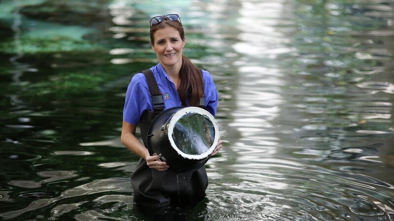 Cortney fashioned a bucket with a glass bottom. This allows her to see the action in the water below without ruining her hair! – Bild: Discovery Communications