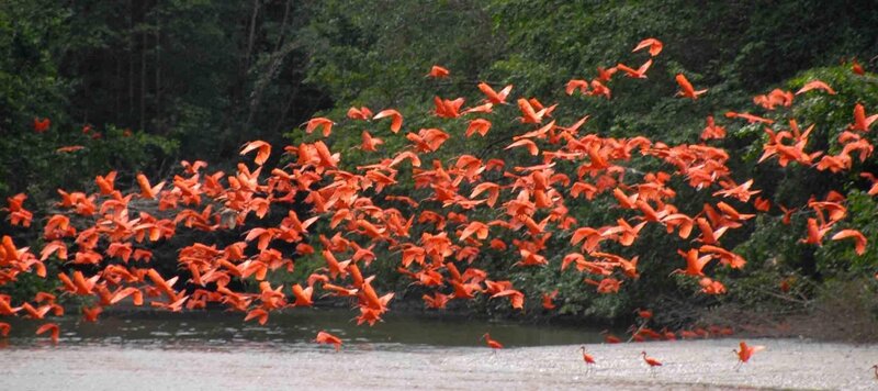 Bild: Venezuela /​ Foto: RTL