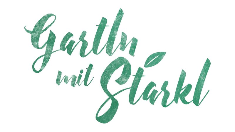 Die Kommissare Hofer und Hansen sind gespannt auf die Untersuchungsergebnisse von Pathologin Mai. – Bild: ORF/​ZDF/​Bojan Ritan