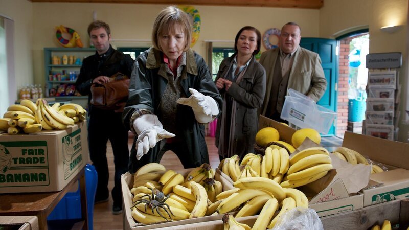 Tatsächlich kommt die Meldung, in einem Laden ist eine Spinne zwischen den Bananen gesichtet worden. Helene versucht, das Tier zu fangen, bevor es zubeißen kann. Doch noch während der Aktion kommen Zweifel daran auf, dass Osterberg ein zufälliges Opfer der Bananenspinne geworden ist. Müssen die Ermittler doch von einem gezielten Mordanschlag auf den jungen Mann ausgehen? Nils Theede (Jonas Laux, l.), Dr. Helene Sturbeck (Katharina Blaschke, 2.v.l.), Katrin Börensen (Claudia Schmutzler, 2.v.r.), Jan Reuter (Udo Kroschwald, r.) ermitteln. – Bild: ZDF und Marc Meyerbroeker
