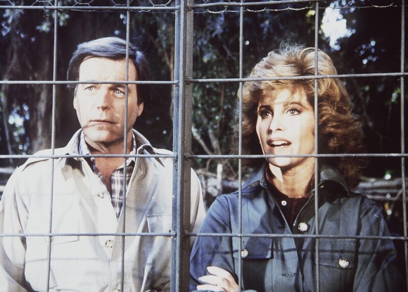 Jonathan (Robert Wagner, l.) und Jennifer (Stefanie Powers, r.) befinden sich im südamerikanischen Dschungel. Doch die Idylle trügt … – Bild: Columbia Pictures
