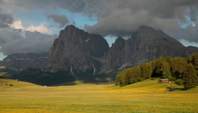 Die Seiser Alm in Südtirol ist die größte Hochalm Europas, im Sommer bedeckt von üppigen Blütenteppichen. – Bild: ZDF/NDR Naturfilm /doclights/Hans-Peter Kuttler Die Seiser Alm in Südtirol ist die größte Hochalm Europas, im Sommer bedeckt von üppigen Blütenteppichen. – Bild: ZDF/NDR Naturfilm /doclights/Hans-Peter Kuttler