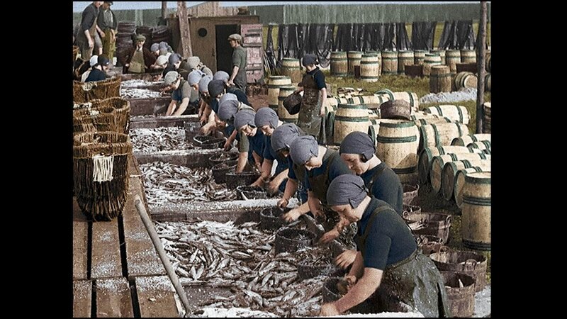 Arbeiterinnen, die Hering ausnehmen, salzen und in Fässer verpacken, 19. Oktober 1933 – Bild: RTL/​ © Azor Producciones /​ British Pathé