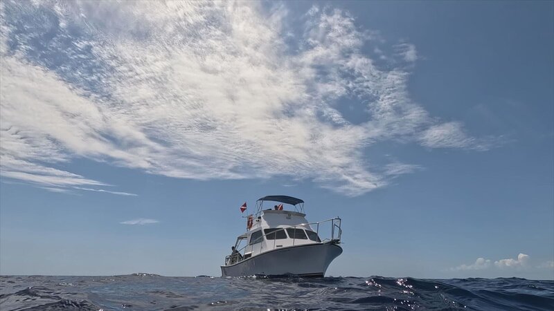 Piratenschiff auf hoher See. – Bild: THE HISTORY CHANNEL /​ A+E Networks