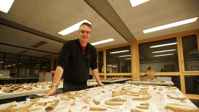 Dr. Urs Leuzinger im Museum für Archäologie mit Knochen – Bild: Windfall Films Ltd /​ Photobank 36810_ep403_003 /​ Windfall Films Ltd