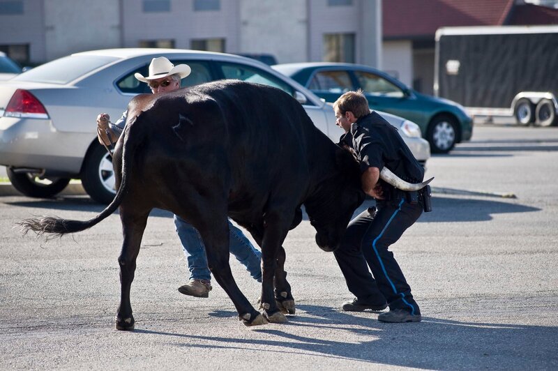 Human Prey /​ I Was Prey. – Bild: Discovery Communications /​ Animal Planet /​ For Show Promotion Only