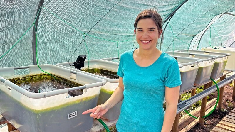In diesem Becken entwickeln sich aus dem Moorfrosch-Laich kleine Kaulquappen und schließlich kleine Frösche. – Bild: BR/​BILD+TEXT Medienproduktion GmbH & Co. KG./​Katja Schübl