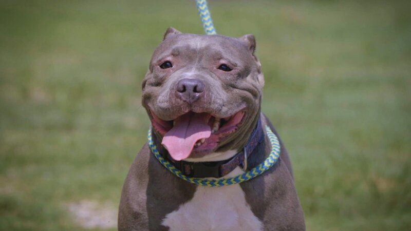 . – Bild: Warner Bros. Discovery