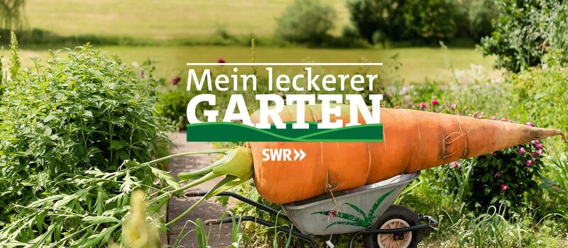 Mein leckerer Garten S01E01 Landfrau Aller fernsehserien.de