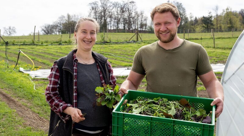 Marie Woeste und Lewis Zierke betreiben auf Hof Woeste ökologische Landwirtschaft; NDR Fernsehen ARD-HOFGESCHICHTEN – ACKERN ZWISCHEN ALPEN UND OSTSEE, „Die Schweine büxen aus“, am Sonntag um 15:15 Uhr. Marie Woeste und Lewis Zierke betreiben auf Hof Woeste ökologische Landwirtschaft – Bild: NDR/​WDR/​Melanie Grande