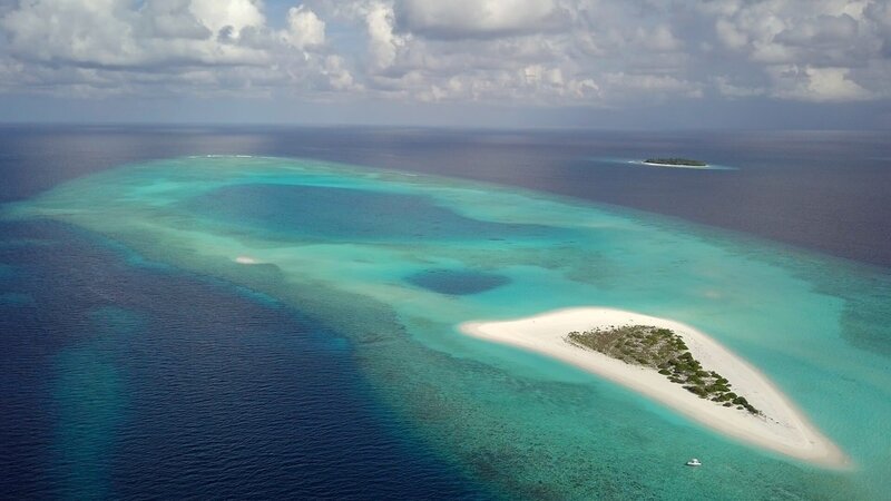 Noch gehört die Unterwasserwelt rund um die Malediven im Indischen Ozean zu den Paradiesen unserer Erde. – Bild: ZDF und Danny Copeland