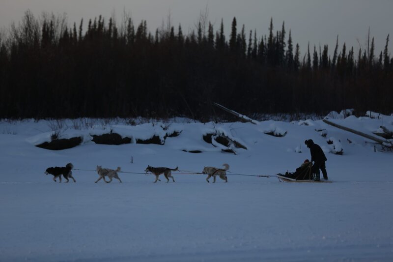 Tyler Selden running the dogsled team. – Bild: Discovery Communications