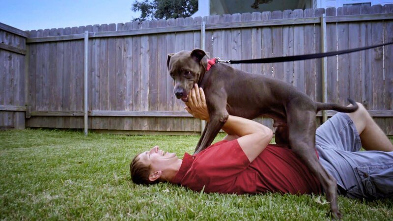 Der Hund spielt mit seinem Besitzer – Bild: Warner Bros. Discovery