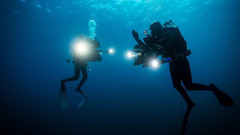 divers in the water looking for Mako. – Bild: Discovery Channel