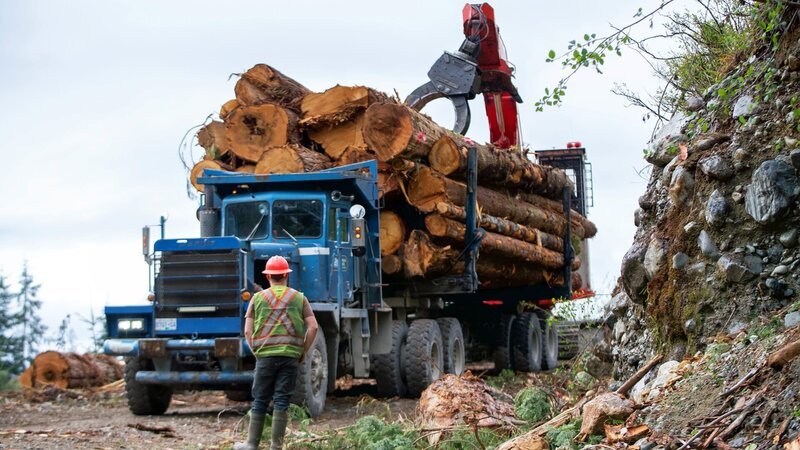 Loader is placing a log on the fat truck as a safety person watches from the front of the truck – Bild: Warner Bros. Discovery, Inc.