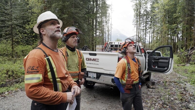 Dave Lornie and hand fallers Brendan(?) and Rob standing behind a pickup truck on a dirt road looking up at off camera trees. – Bild: DMAX