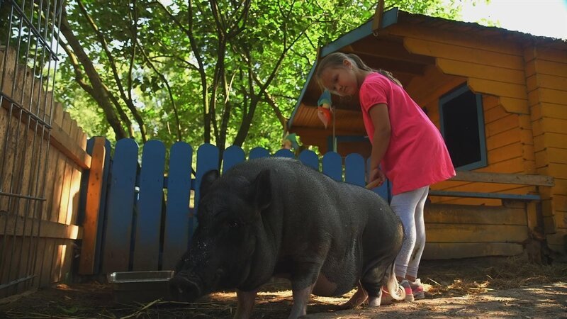 Lisa pflegt ihr Schwein. – Bild: NDR/​Sesame Workshop