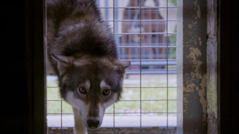 . – Bild: Warner Bros. Discovery