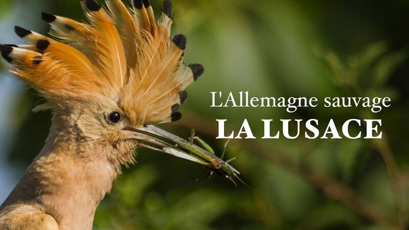  – Bild: Arte