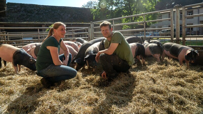 Nina und Sebastian Kill bei ihren Schweinen. – Bild: NDR/​SWR/​Frank Hisam