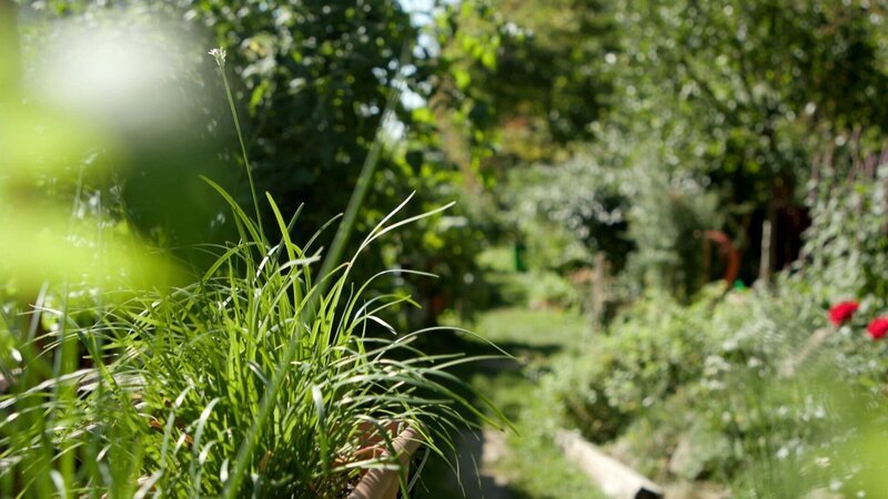  Gartenverein. – Bild: ORF/​WERANY