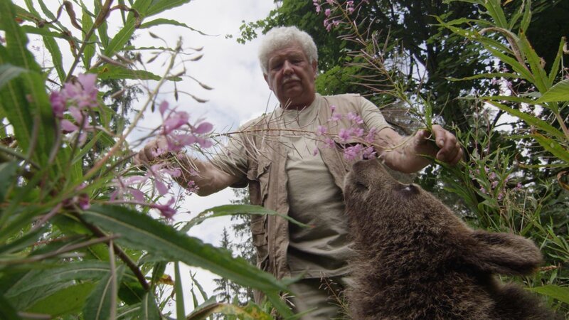 Vaclav Chaloupek zeigt den Bären, daß man die Blumen fressen kann. – Bild: BR/​Angelika Sigl