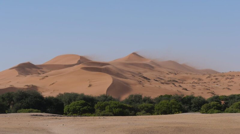 Rote Dünen der Namib-Wüste sind durch häufige starke Winde ständig in Bewegung. – Bild: NDR/​Extravista/​Erik Lötsch