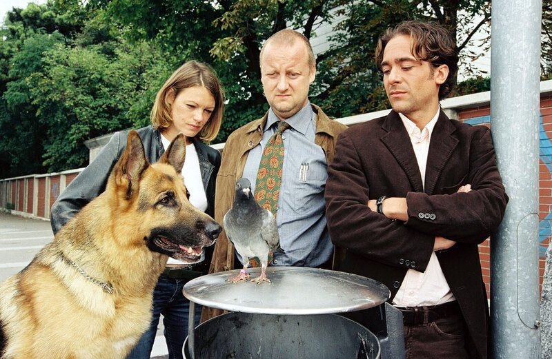 Diesmal müssen Marc (Alexander Pschill, r.), Niki (Elke Winkens, l.), Kunz (Martin Weinek, M.) und Rex in einem reichlich ungewöhnlichen Fall ermitteln: Eduard Ettrich, Präsident eines Taubenzüchterverbandes, wurde von seiner mit einer Briefbombe präparierten Lieblingstaube Elli in den Tod gerissen … – Bild: SAT.1 /​ Ali Schafler