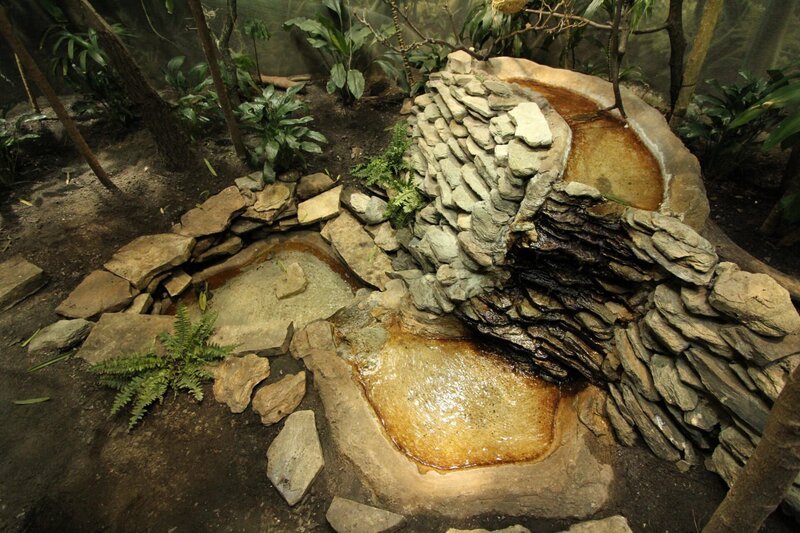 Bild: National Geographic Channels /​ Ashley McKee/​NGC/​NGC