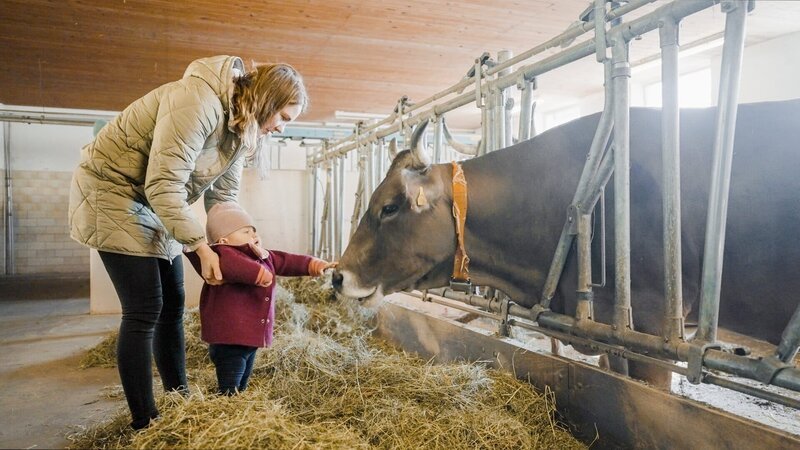 - Dok 1 – Allergien – Wenn die Natur dein Feind wird – In dieser Dok 1 macht sich Hanno Settele auf die Suche nach einer der größten Volkskrankheiten – der Allergie. Ob gegen Pollen, Hausstaub oder Nahrungsmittel – jeder vierte in Österreich ist betroffen und Schätzungen gehen davon aus, dass es bis zum Jahr 2050 sogar schon jeder zweite sein könnte. Neue Lebensmittel, neue Pflanzenarten und neue Insekten, sie alle könnten einen Allergieboost bewirken. Alles Einbildung oder doch eine reale Gefahr? Was können wir dagegen tun? Und wie lebt es sich als Allergiker eigentlich? Mit all diesen Fragen beschäftigt sich Hanno Settele in dieser Dok 1. Er besucht Betroffene, lässt sich zeigen, warum Tapetenkleister in unseren Nahrungsmitteln ist, öffnet Pollenfallen, misst die Stadtluft oder lässt sich erklären, was bei einem allergischen Schock zu tun ist. Mit künstlicher Intelligenz bewaffnet sind wir auf der Spur der Götterbäume, einem potentiellen Allergiebaum aus dem asiatischen Raum. In Peking ist er für jede zweite Allergie verantwortlich, und er breitet sich, genauso wie Ambrosia, auch in unseren Breiten ungebremst aus. Außerdem laden wir für diese Folge 12 Personen zum Bluttest und entdecken eine Fülle an Allergien. Selbst Hanno Settele lässt dafür ein paar Tropfen Blut fließen. Am Ende erfahren wir, ob auch er zur großen Gruppe der Allergiker in Österreich gehört. Im Bild: Der so genannte Bauernhofeffekt wurde in Studien vielfach bestätigt. Demnach haben Kinder, die auf Bauernhöfen aufgewachsen sind, deutlich weniger Allergien als Stadtkinder. – Copyright: ORF/Neuland Film/ – Veröffentlichung honorarfrei nur für redaktionelle Berichterstattung in Sendungszusammenhang und mit Copyrightangabe. Kontakt: foto@orf.at – Bild: ORF, Neuland Film - Dok 1 – Allergien – Wenn die Natur dein Feind wird – In dieser Dok 1 macht sich Hanno Settele auf die Suche nach einer der größten Volkskrankheiten – der Allergie. Ob gegen Pollen, Hausstaub oder Nahrungsmittel – jeder vierte in Österreich ist betroffen und Schätzungen gehen davon aus, dass es bis zum Jahr 2050 sogar schon jeder zweite sein könnte. Neue Lebensmittel, neue Pflanzenarten und neue Insekten, sie alle könnten einen Allergieboost bewirken. Alles Einbildung oder doch eine reale Gefahr? Was können wir dagegen tun? Und wie lebt es sich als Allergiker eigentlich? Mit all diesen Fragen beschäftigt sich Hanno Settele in dieser Dok 1. Er besucht Betroffene, lässt sich zeigen, warum Tapetenkleister in unseren Nahrungsmitteln ist, öffnet Pollenfallen, misst die Stadtluft oder lässt sich erklären, was bei einem allergischen Schock zu tun ist. Mit künstlicher Intelligenz bewaffnet sind wir auf der Spur der Götterbäume, einem potentiellen Allergiebaum aus dem asiatischen Raum. In Peking ist er für jede zweite Allergie verantwortlich, und er breitet sich, genauso wie Ambrosia, auch in unseren Breiten ungebremst aus. Außerdem laden wir für diese Folge 12 Personen zum Bluttest und entdecken eine Fülle an Allergien. Selbst Hanno Settele lässt dafür ein paar Tropfen Blut fließen. Am Ende erfahren wir, ob auch er zur großen Gruppe der Allergiker in Österreich gehört. Im Bild: Der so genannte Bauernhofeffekt wurde in Studien vielfach bestätigt. Demnach haben Kinder, die auf Bauernhöfen aufgewachsen sind, deutlich weniger Allergien als Stadtkinder. – Copyright: ORF/Neuland Film/ – Veröffentlichung honorarfrei nur für redaktionelle Berichterstattung in Sendungszusammenhang und mit Copyrightangabe. Kontakt: foto@orf.at – Bild: ORF, Neuland Film