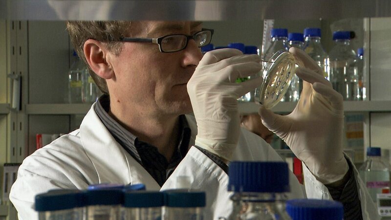 Professor Achim Kramer von der Charité Berlin untersucht, warum gerade Jugendliche in der Gesellschaft spät dran sind und welche Rolle die Gene dabei spielen. – Bild: ORF/New Docs/Hanfgarn & Ufer Filmproduktion Professor Achim Kramer von der Charité Berlin untersucht, warum gerade Jugendliche in der Gesellschaft spät dran sind und welche Rolle die Gene dabei spielen. – Bild: ORF/New Docs/Hanfgarn & Ufer Filmproduktion