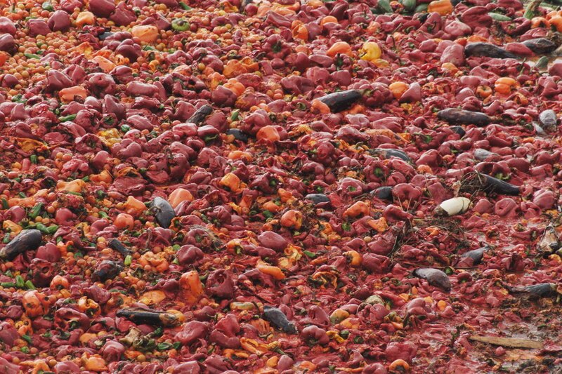 The miracle of almeria Überschüssige Ernte, die vernichtet werden muss. SRF/​Produktion Lomotion AG – Bild: SRF