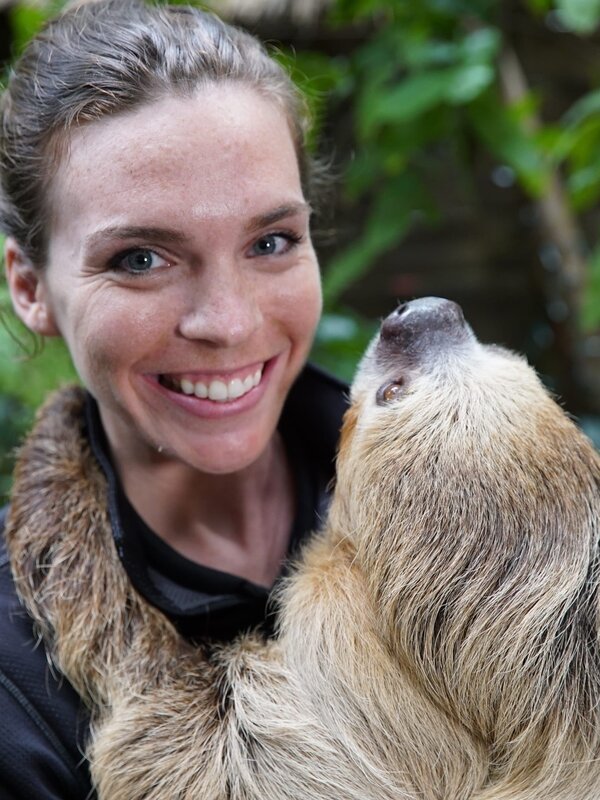How do sloths live upside down? A toe-toed sloth from Cincinnati Zoo called Mo with zookeeper Maura Messerly – Bild: Animal Planet /​ Discovery Communications, LLC